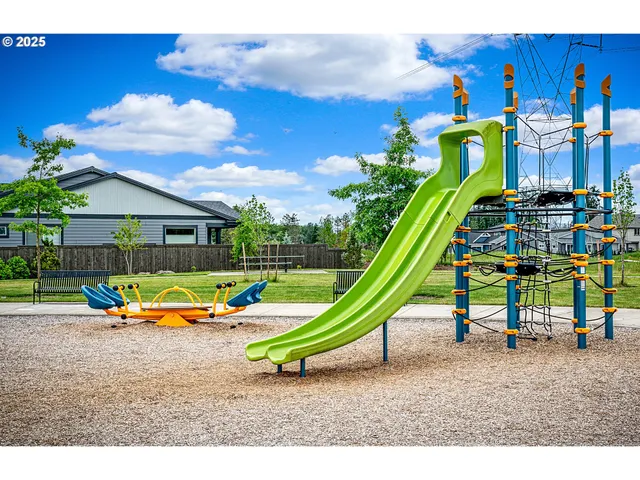 a view of park with slide