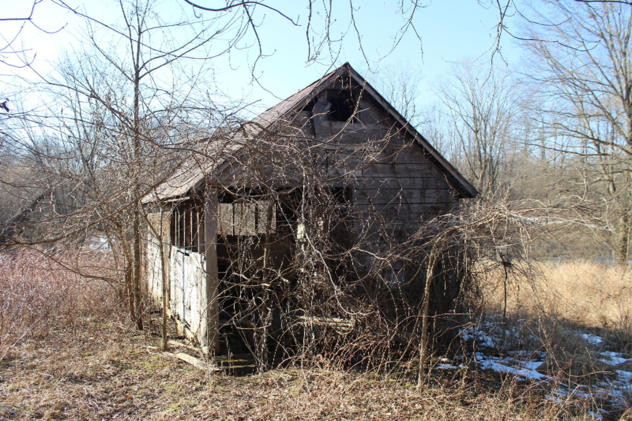 16722 Runyon Road Buchanan, MI 49107 - Photo 46 of 62 IMG_2571