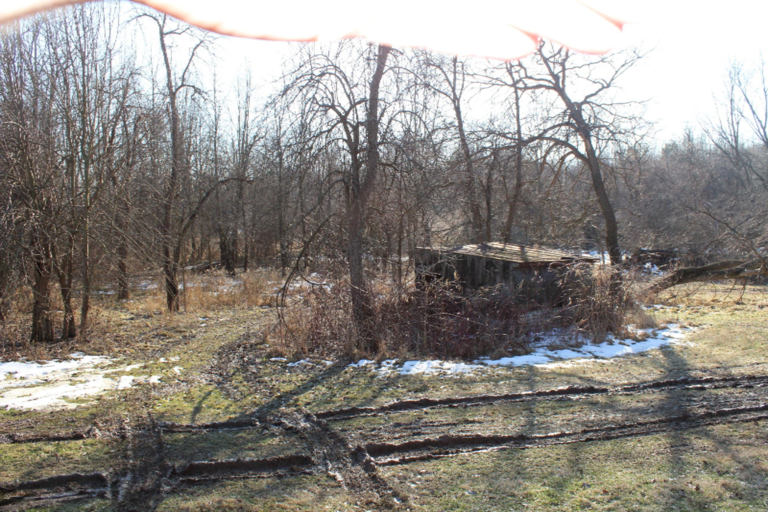 16722 Runyon Road Buchanan, MI 49107 - Photo 47 of 62 IMG_2626