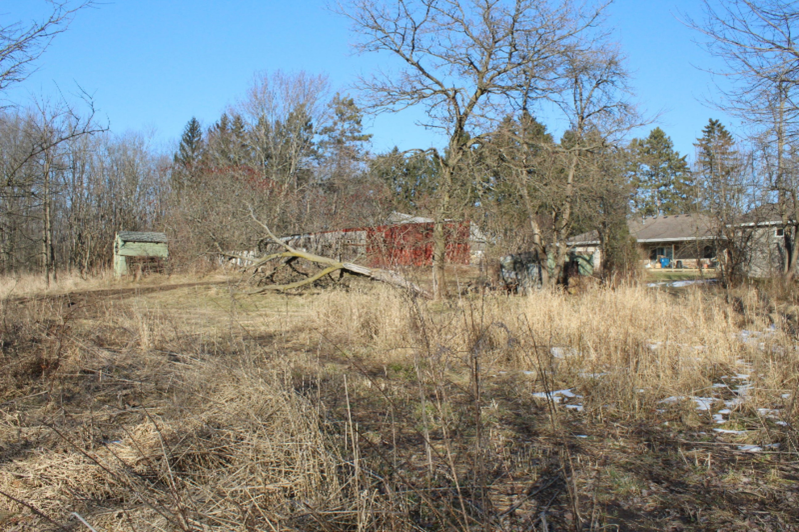 16722 Runyon Road Buchanan, MI 49107 - Photo 50 of 62 IMG_2629