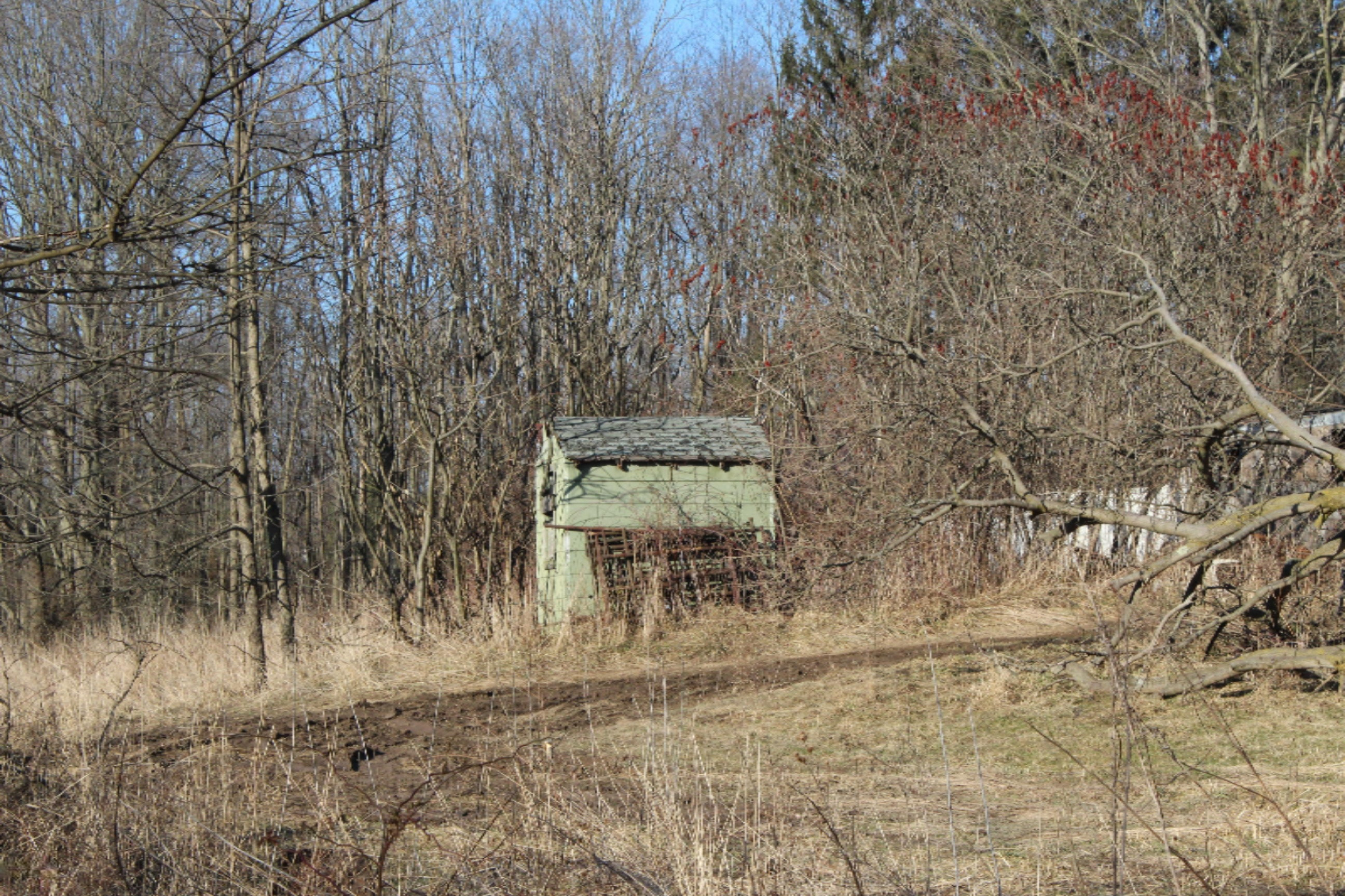 16722 Runyon Road Buchanan, MI 49107 - Photo 51 of 62 IMG_2631