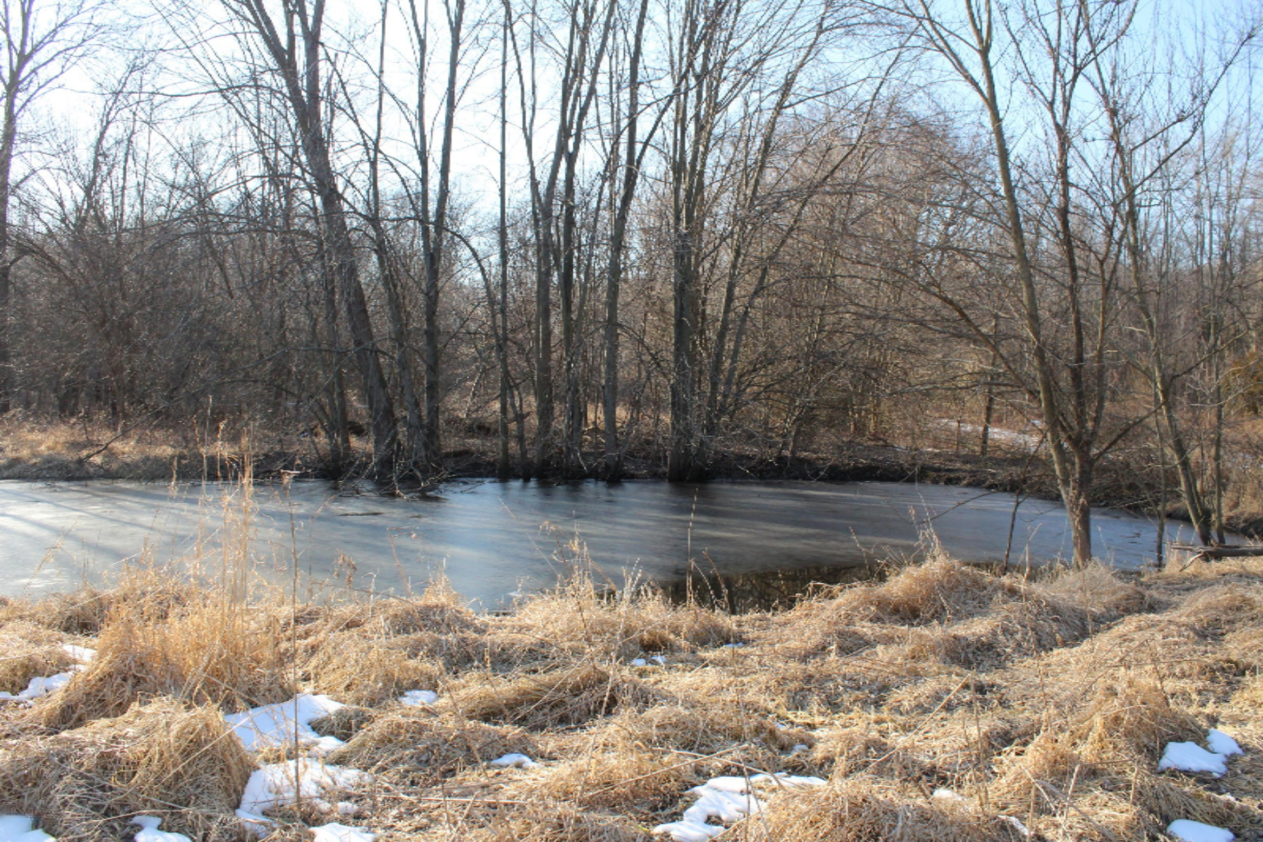 16722 Runyon Road Buchanan, MI 49107 - Photo 53 of 62 IMG_2633