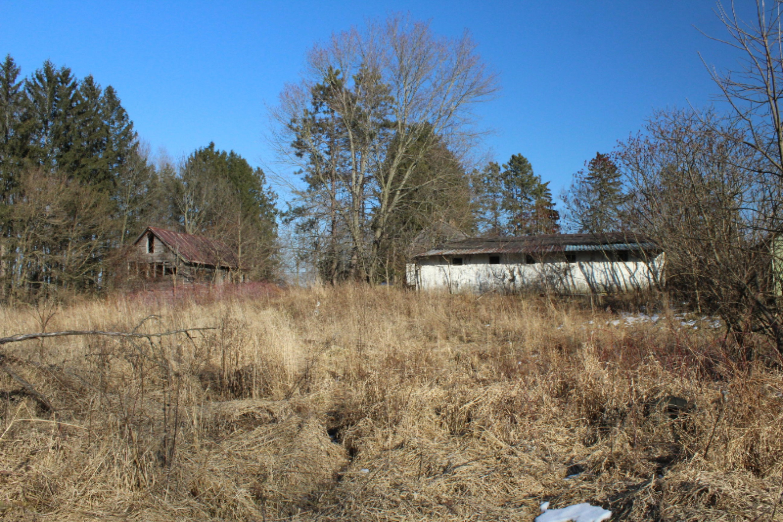 16722 Runyon Road Buchanan, MI 49107 - Photo 54 of 62 IMG_2634