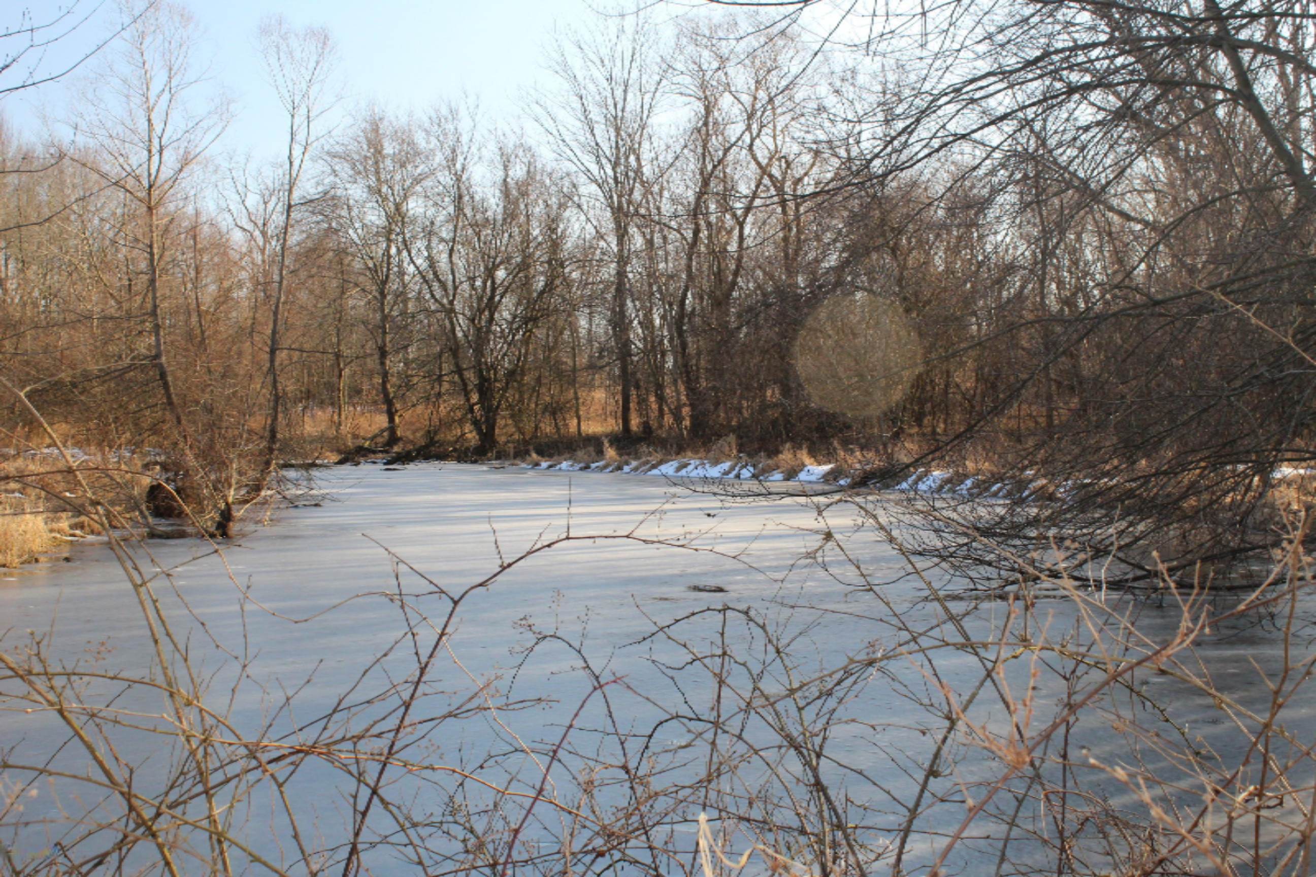 16722 Runyon Road Buchanan, MI 49107 - Photo 58 of 62 IMG_2638