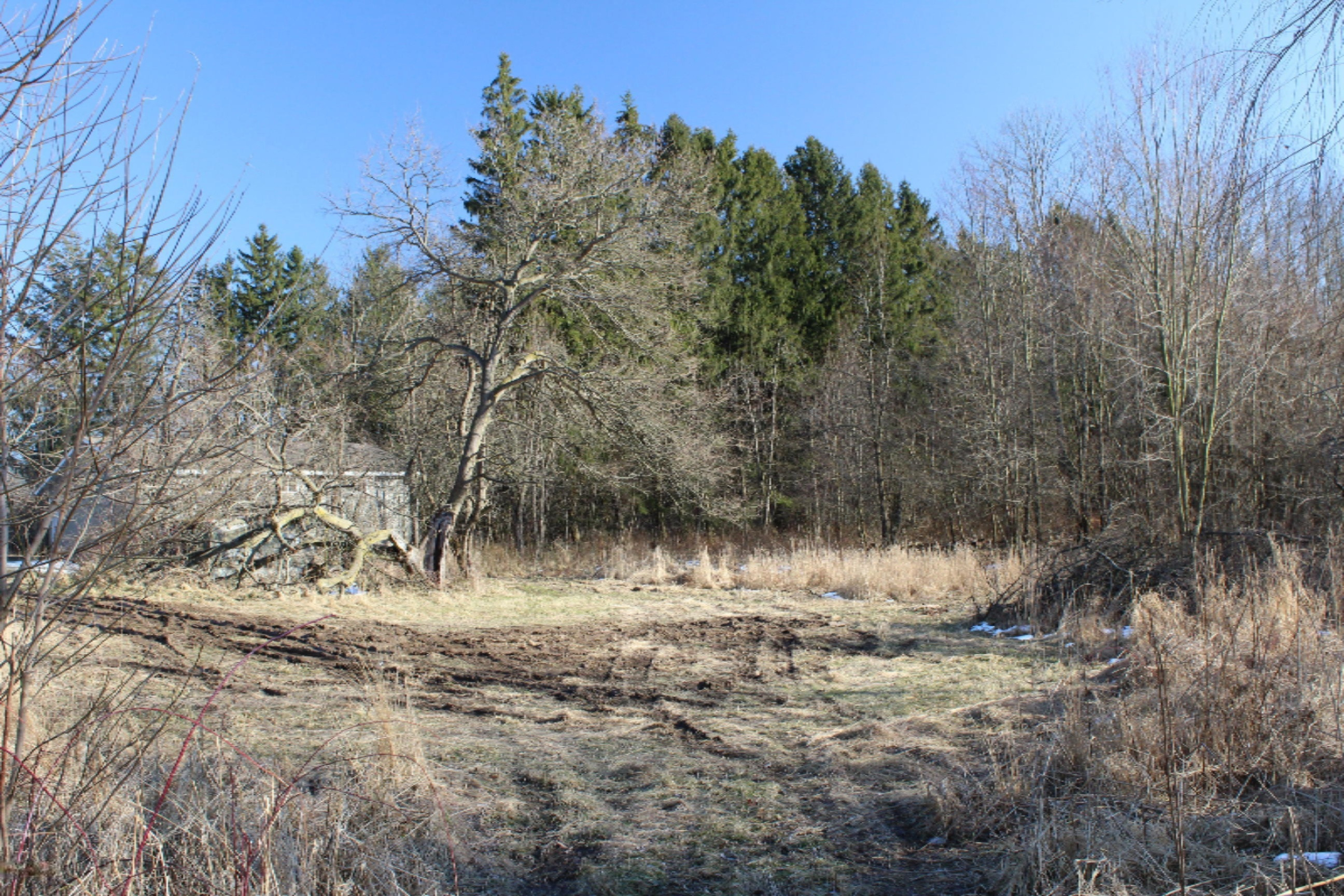 16722 Runyon Road Buchanan, MI 49107 - Photo 60 of 62 IMG_2639