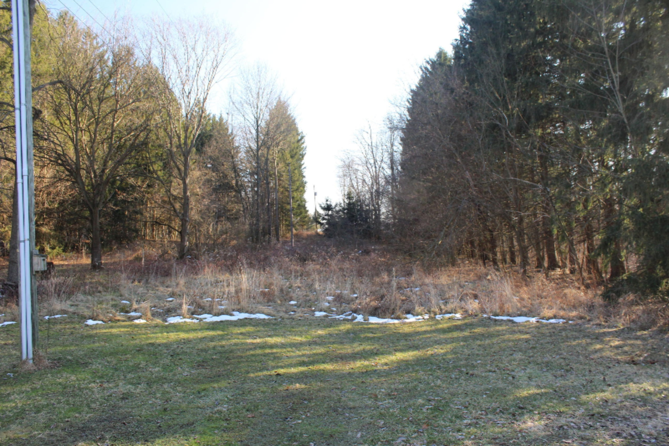 16722 Runyon Road Buchanan, MI 49107 - Photo 61 of 62 IMG_2640