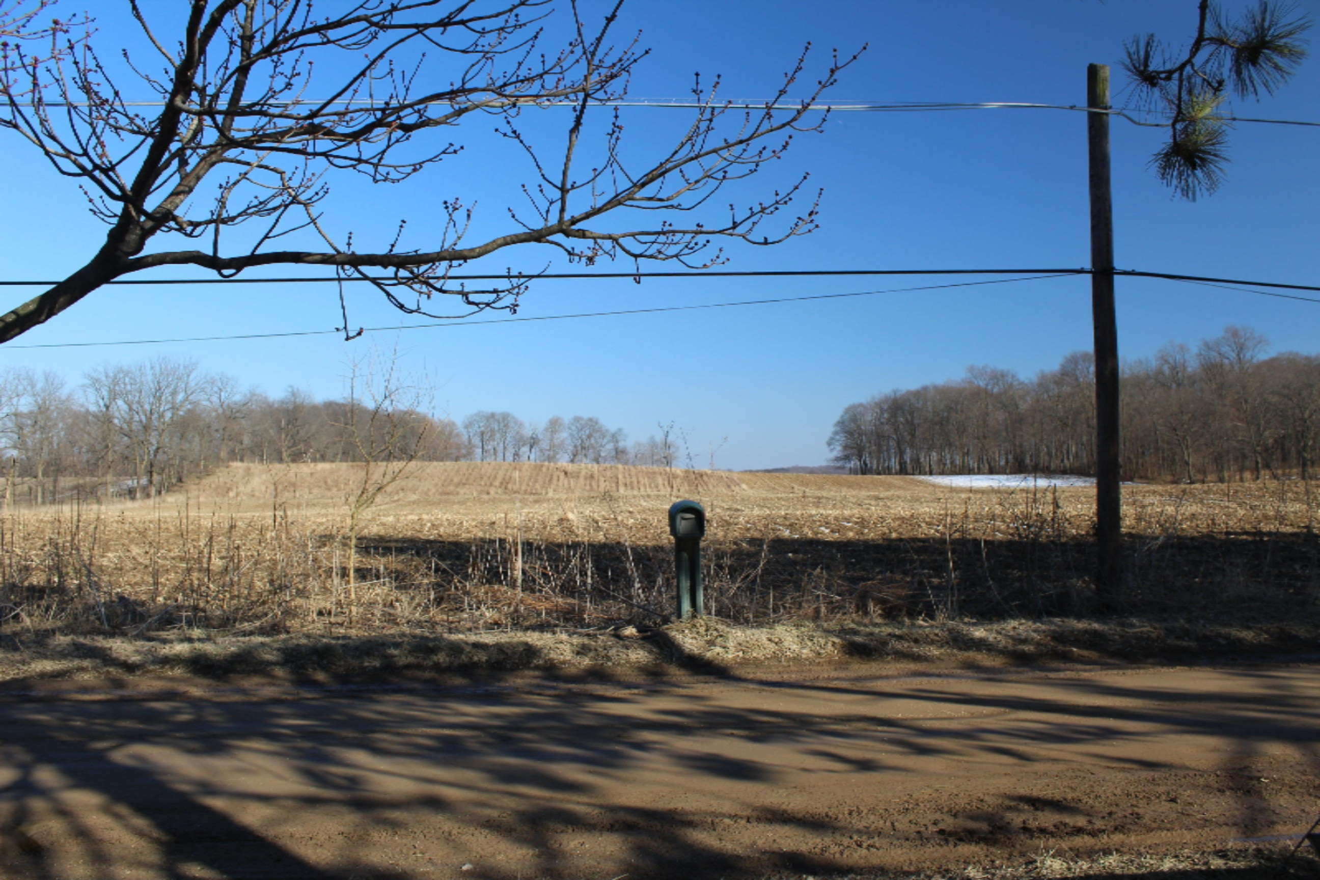 16722 Runyon Road Buchanan, MI 49107 - Photo 62 of 62 IMG_2565