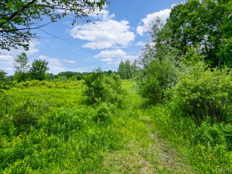 8031 Benson Road Floyd, NY 13354 - Photo 11 of 33
