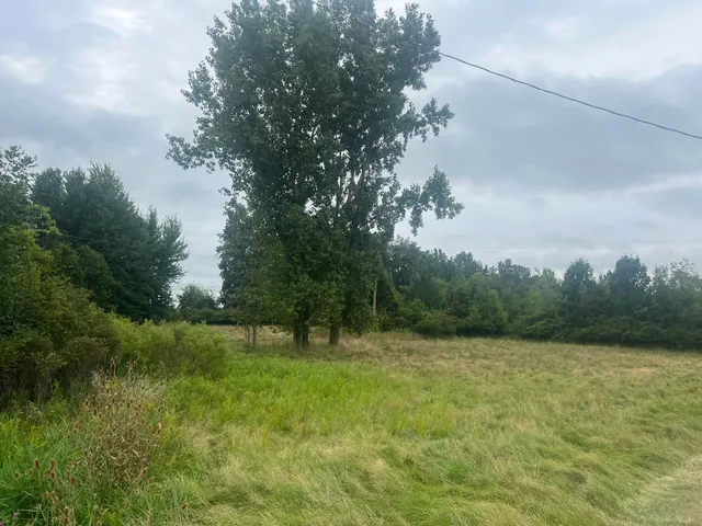 $310,000 | 107 West Girard Road, Union City, MI 49094