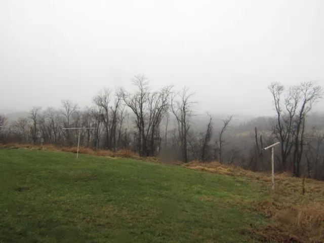 a backyard of a house with lots of green space
