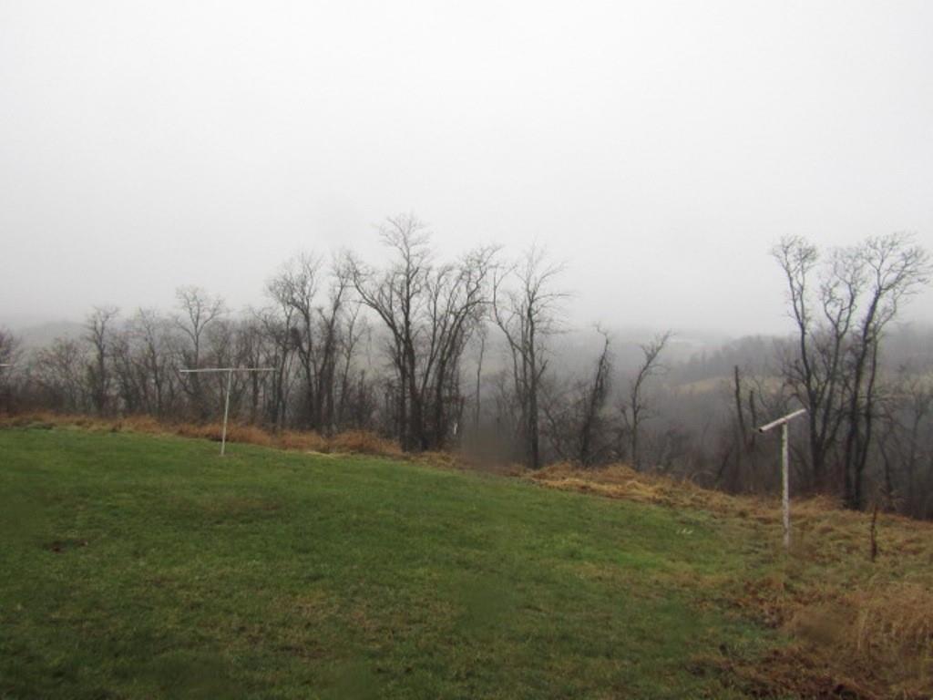 163 Poplar Road Avella, PA 15312 - Photo 3 of 32 a backyard of a house with lots of green space