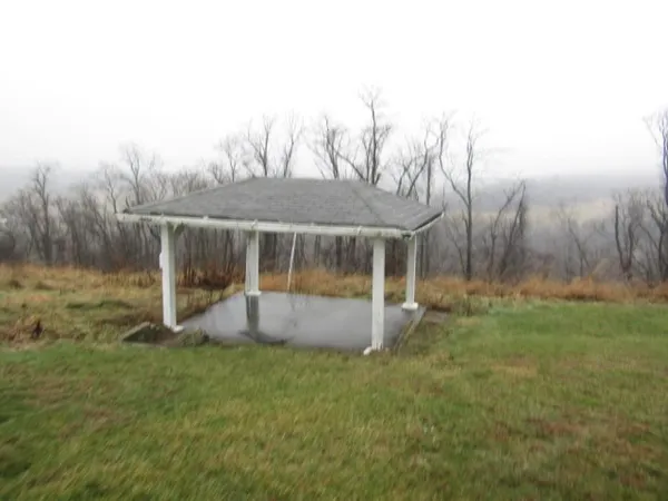 a garden with trees in front of it
