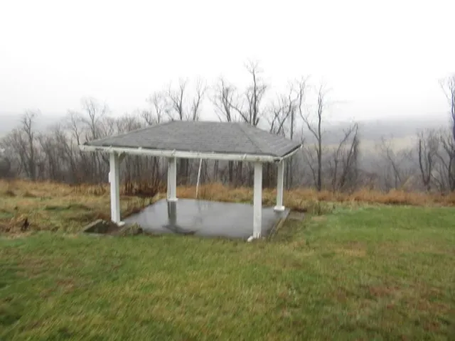 a garden with trees in front of it
