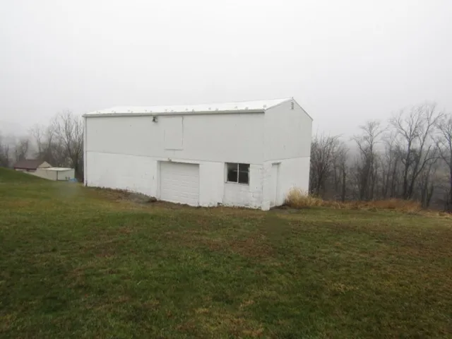 a view of a yard with trees