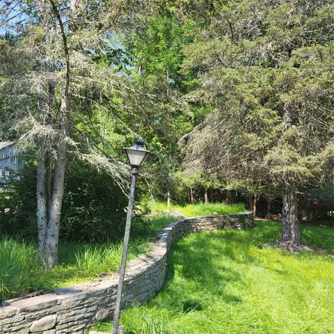 a view of a backyard