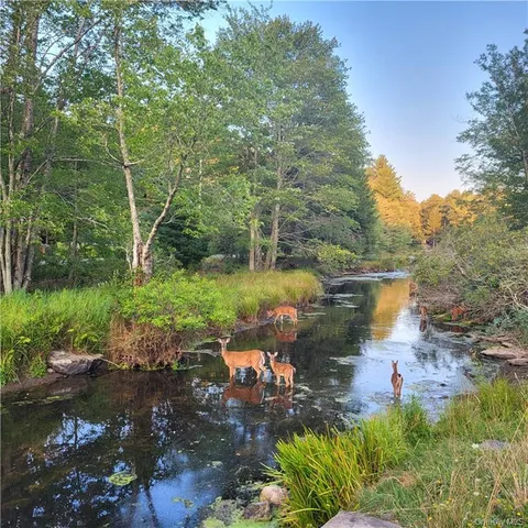 a view of a lake with a yard