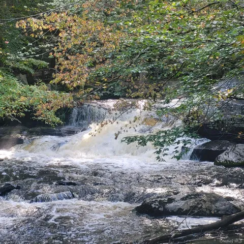 a view of a yard with trees