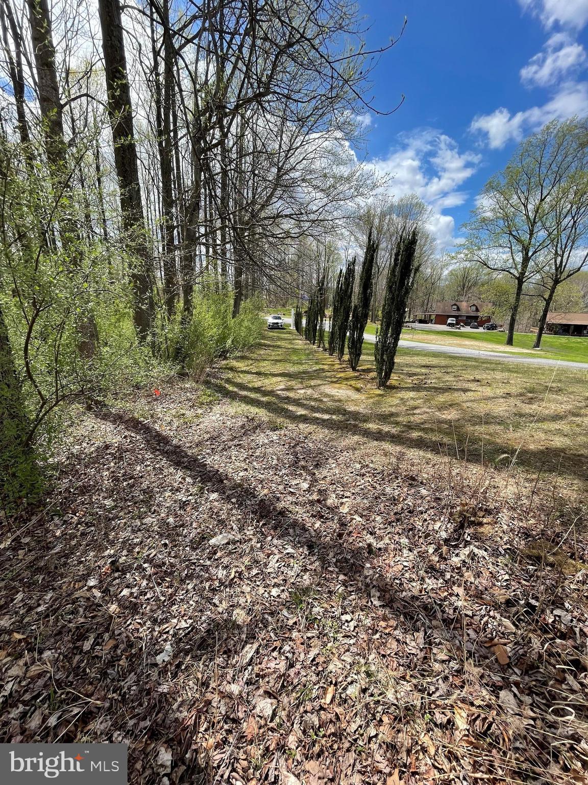 304 Fairhaven Road Tracys Landing, MD 20779 - Photo 3 of 5