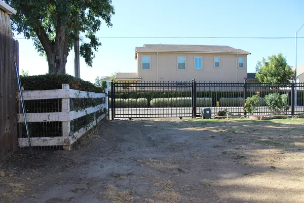 a view of a palm tree next to a yard