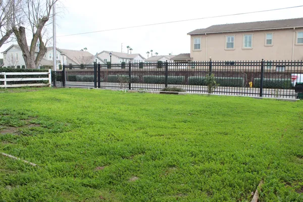 a view of a yard in front of a house
