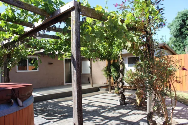 a view of a backyard with plants