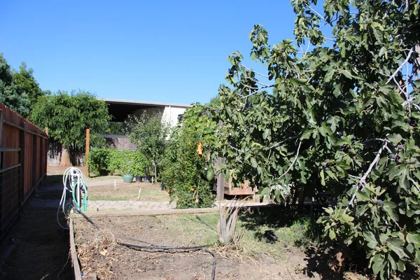 a view of a backyard of the house