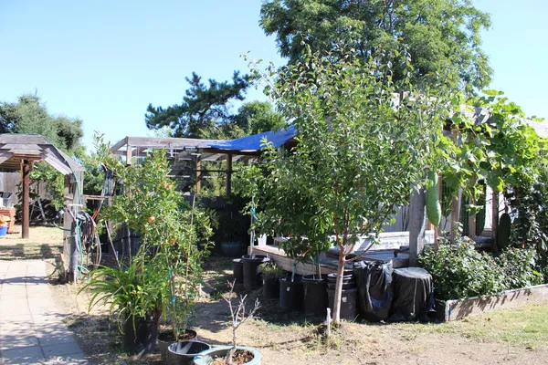 a view of a house with a yard and sitting area