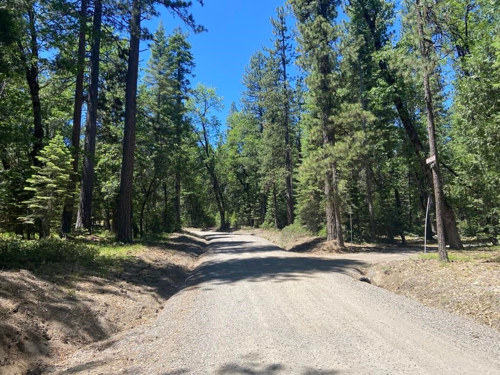 3-e-29 Red Fir Road McCloud, CA 96057 - Photo 16 of 22 Gallery Image 16