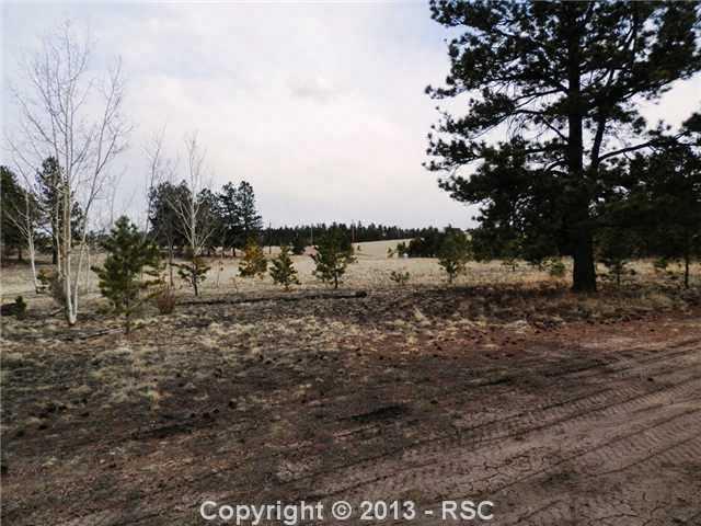 9777 Ranch Road Hartsel, CO 80449 - Photo 21 of 21 Very Private Setting
