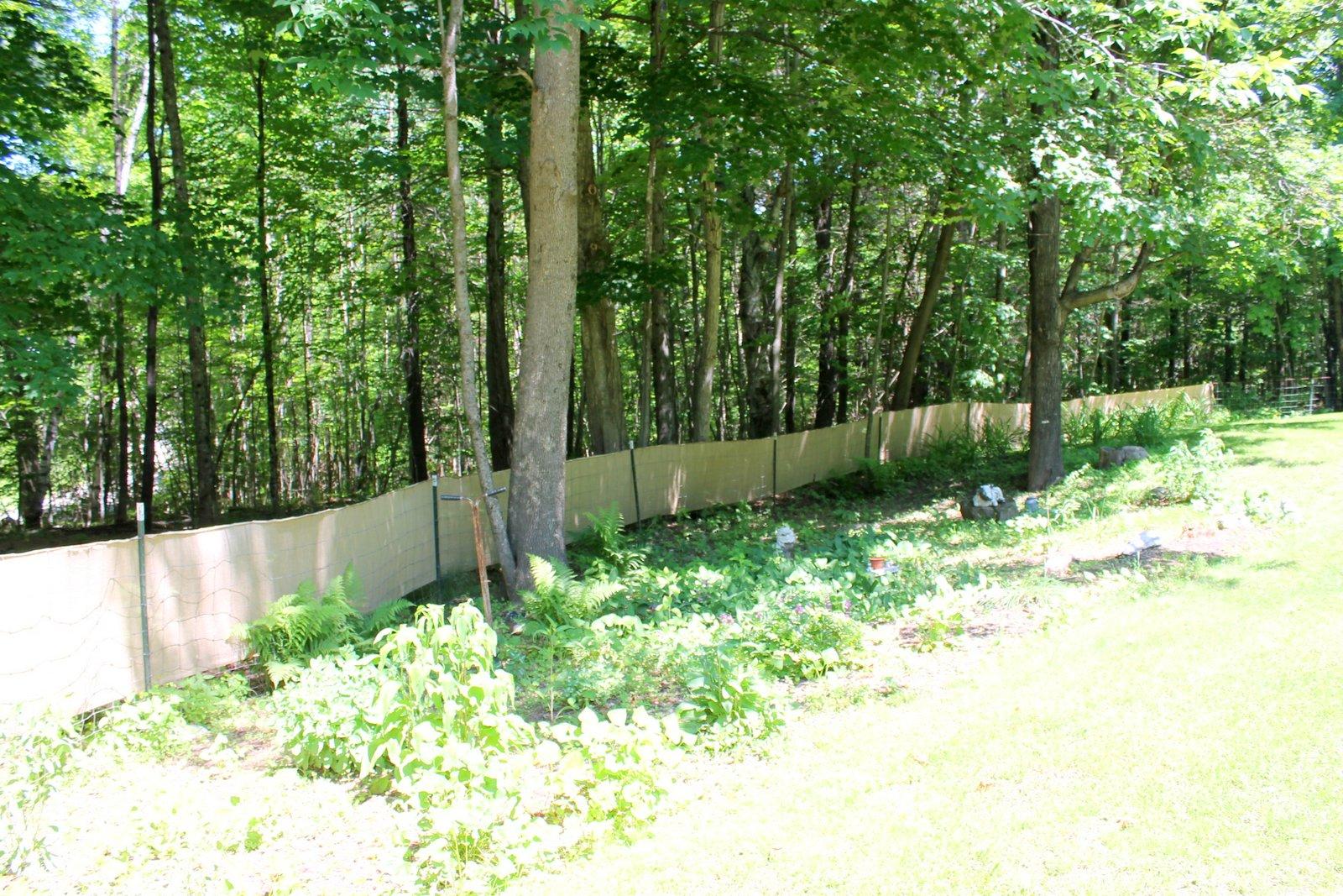 102 Hadfield Road Minot, ME 04258 - Photo 26 of 29 IMG_0101