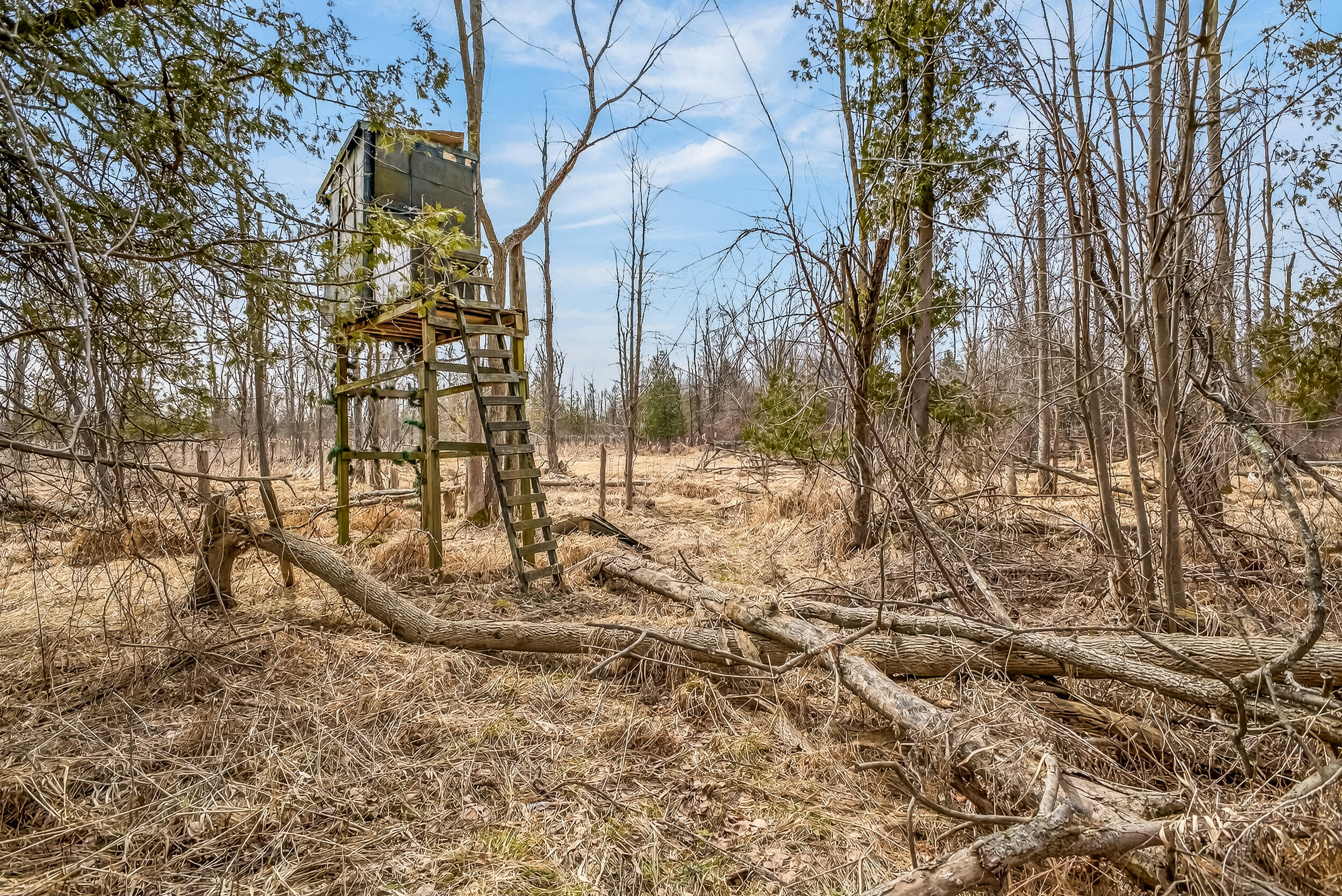 875 East Jackson Road Hart, MI 49420 - Photo 34 of 42 875 e jackson-11