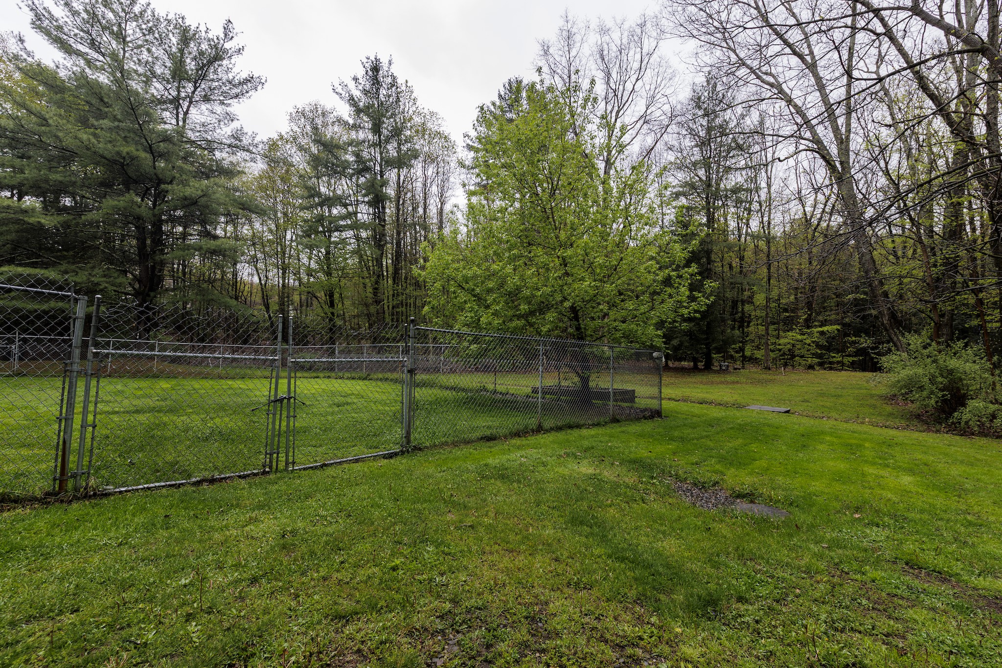 261 Depot Hill Road Port Crane, NY 13833 - Photo 16 of 21