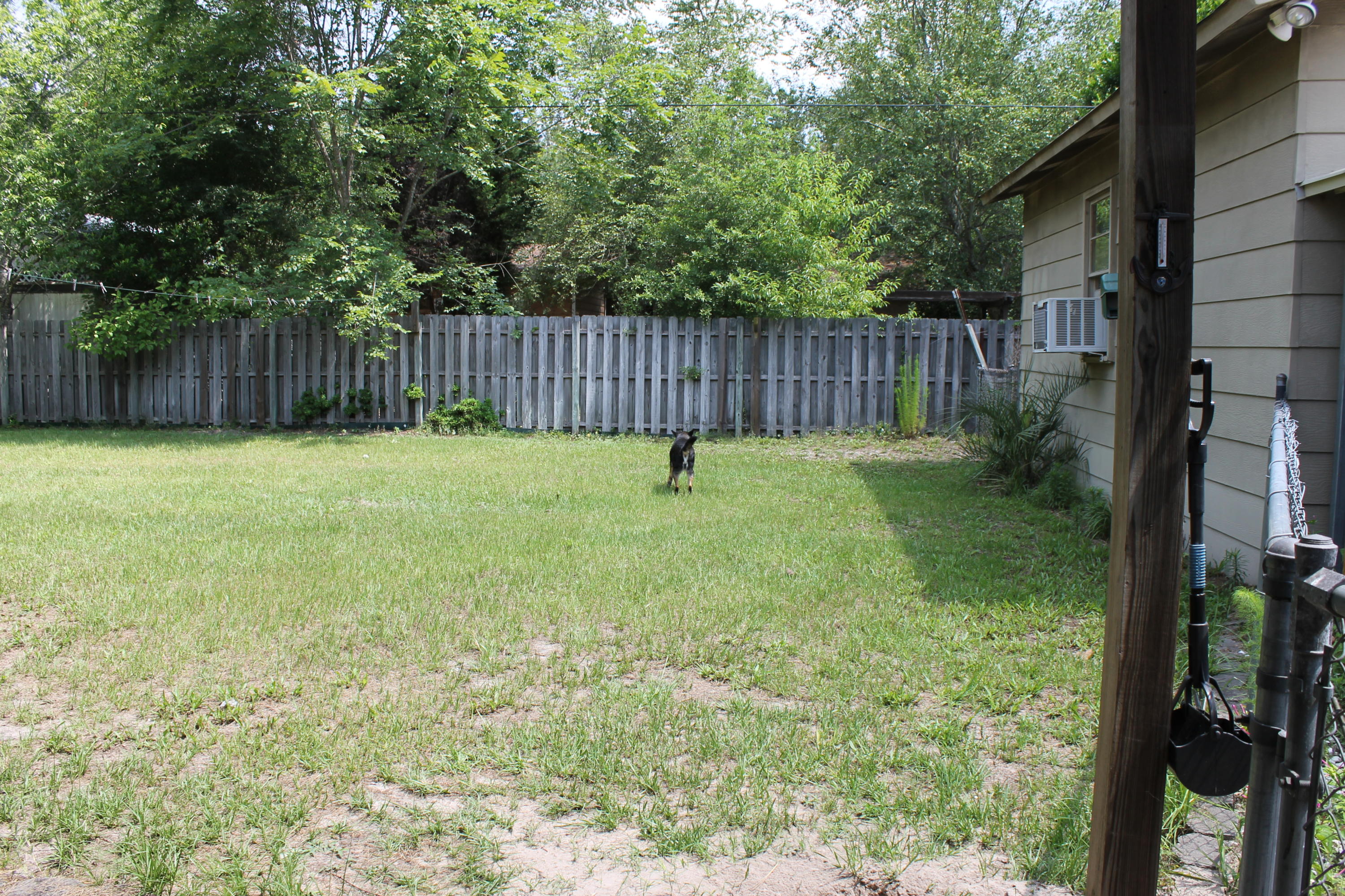 206 Auld Brass Road Walterboro, SC 29488 - Photo 27 of 33 IMG_0558