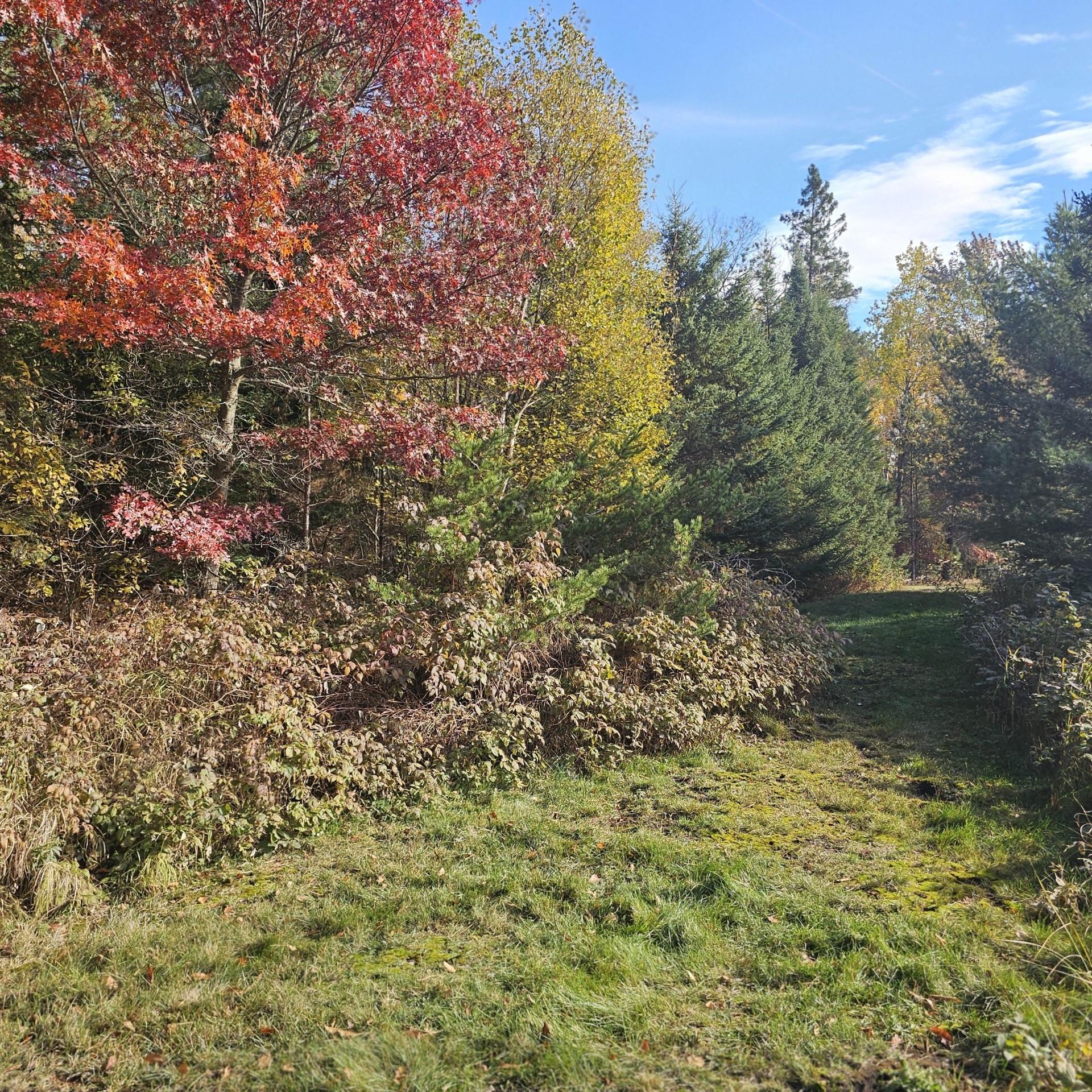 1323 Pratt Junction Road Pelican Lake, WI 54463 - Photo 19 of 24 Gallery Image 19