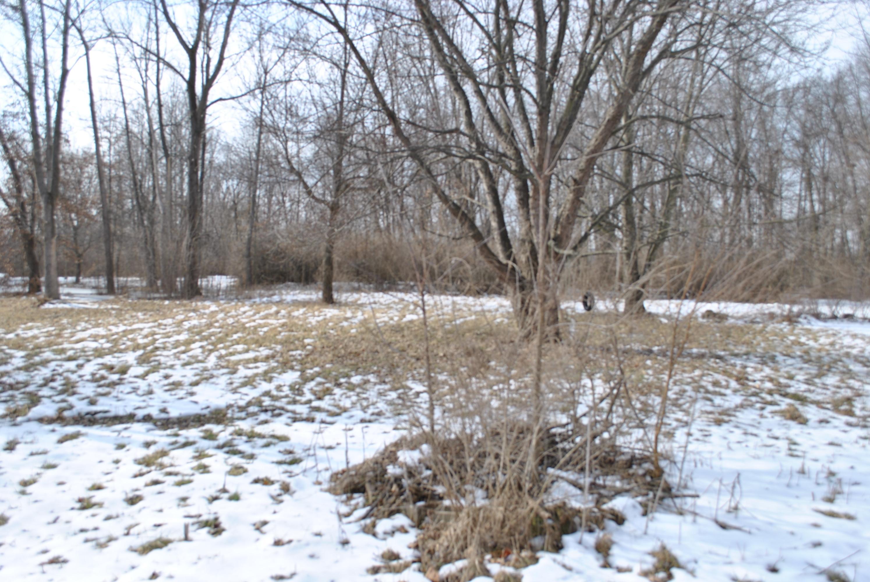 9816 Lynns Road Southwest Pataskala, OH 43062 - Photo 5 of 13 Gallery Image 5