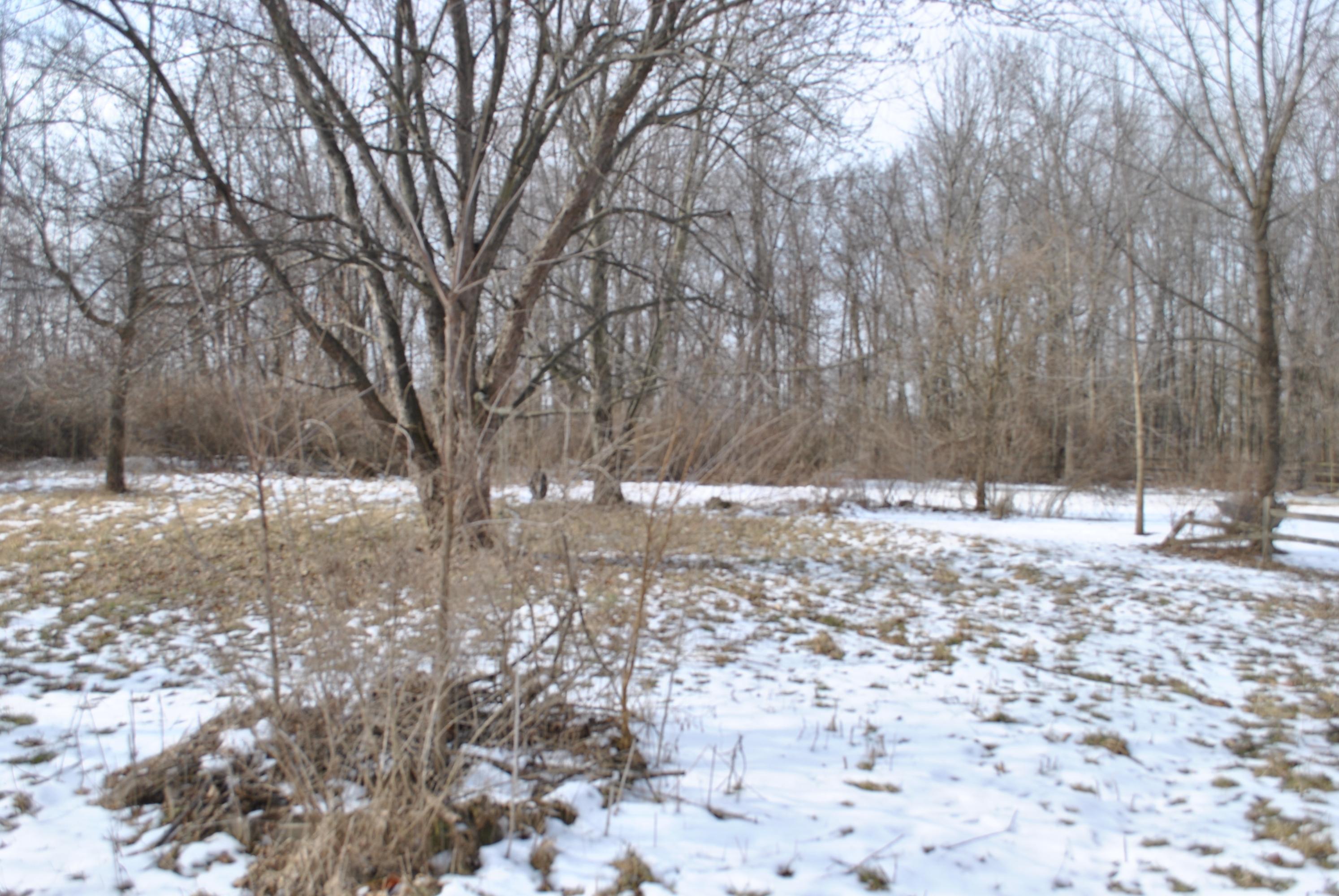 9816 Lynns Road Southwest Pataskala, OH 43062 - Photo 7 of 13 Gallery Image 7