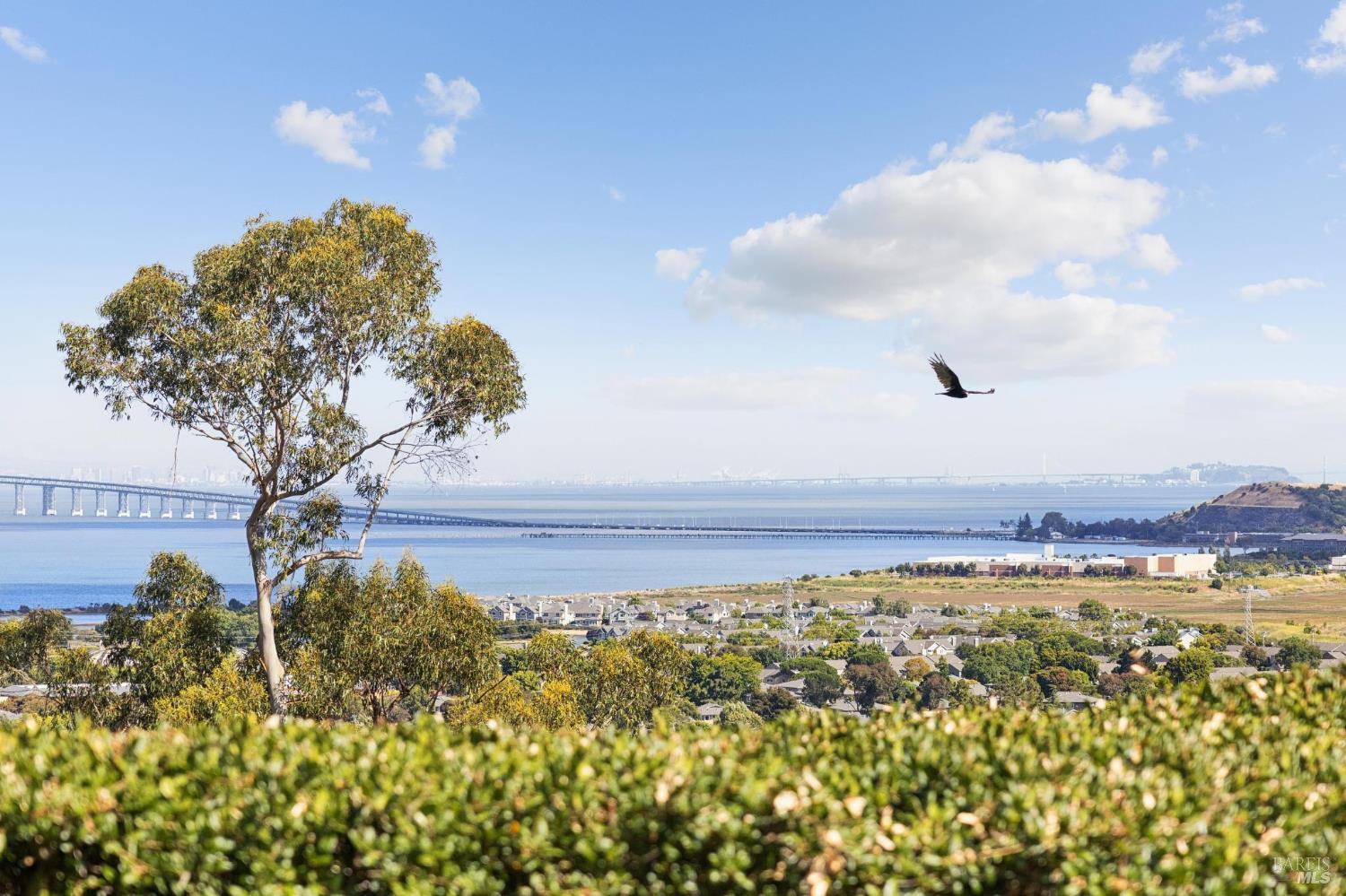 40 West Seaview Avenue San Rafael, CA 94901 - Photo 49 of 68