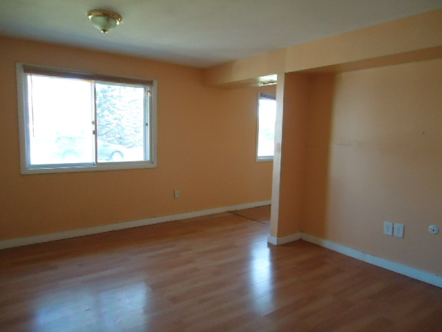343 Gehrig Circle Bolingbrook, IL 60440 - Photo 13 of 16 an empty room with wooden floor and windows