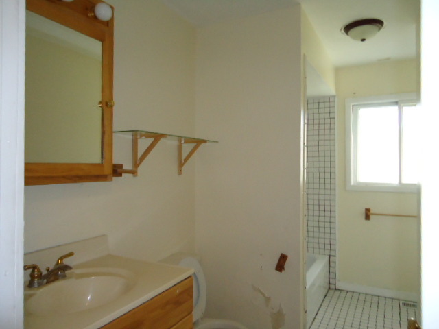 343 Gehrig Circle Bolingbrook, IL 60440 - Photo 14 of 16 a bathroom with a sink and shower