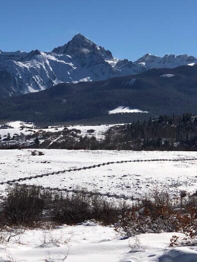 62 Highway 62 Ridgway, CO 81432 - Photo 6 of 13 ZigZag fence