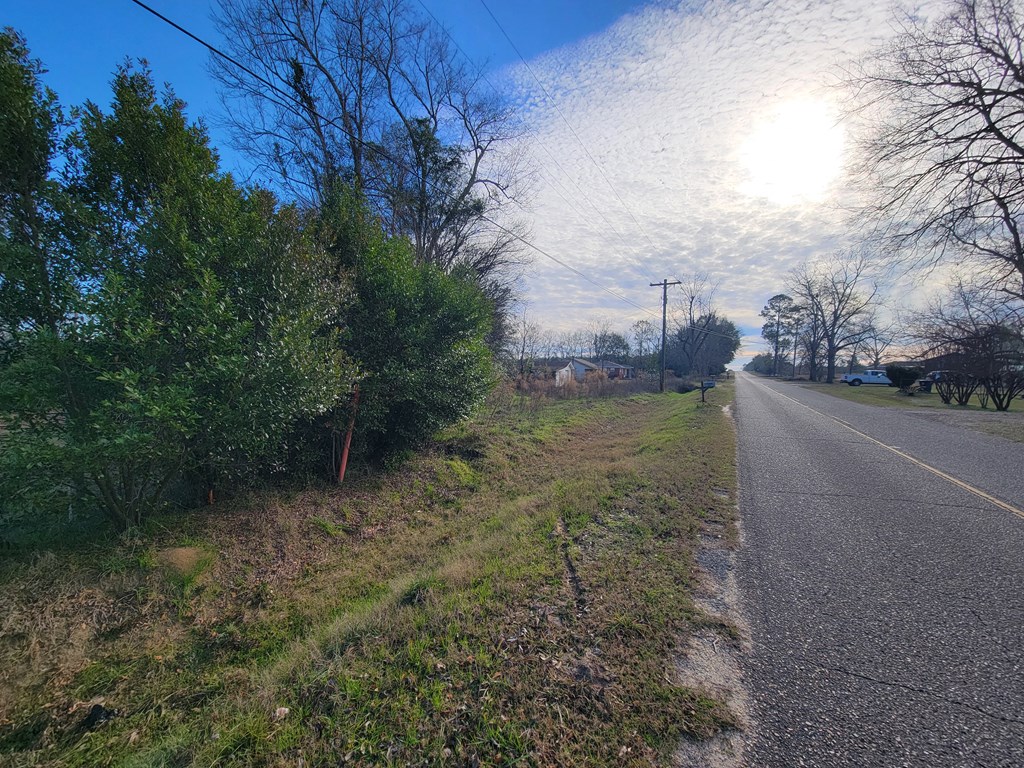 49-acres Pansey Road Ashford, AL 36312 - Photo 3 of 16