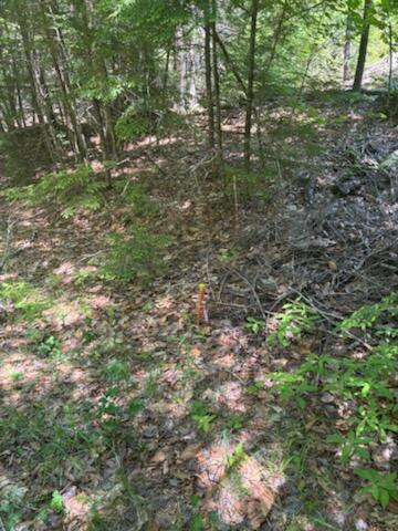 Lot 2 Brown Road Liberty, ME 04949 - Photo 5 of 5 Boundary Pin