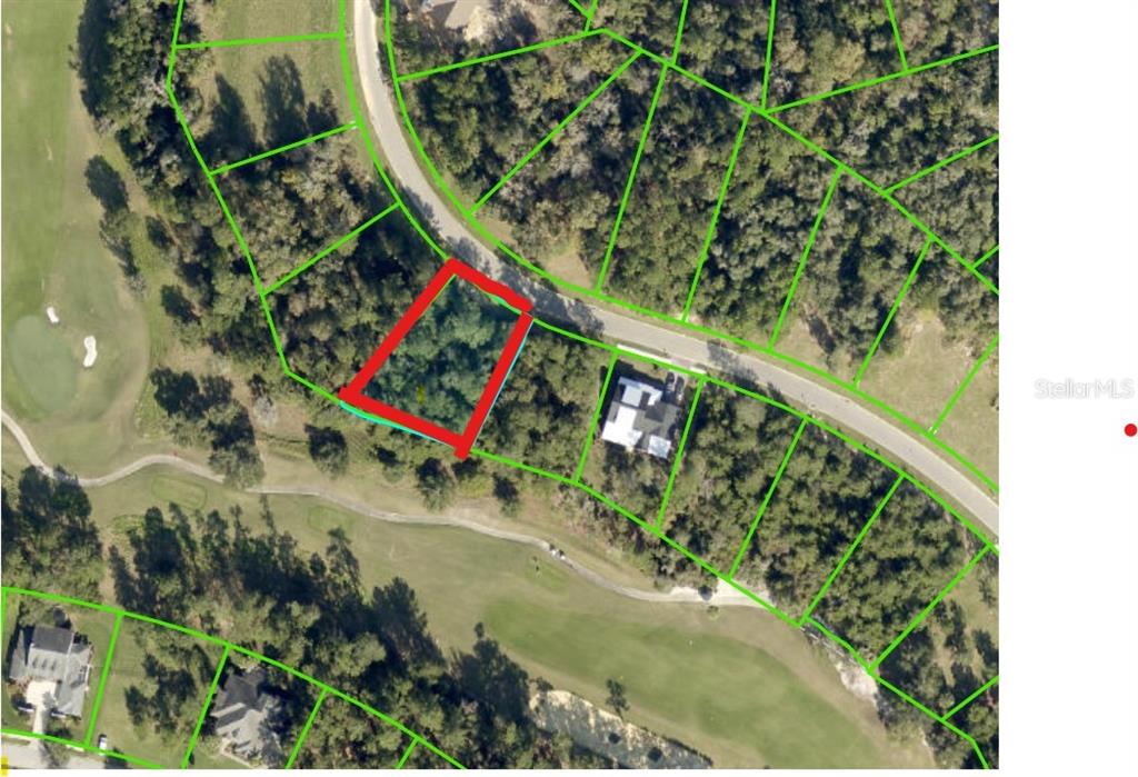 5947 Creek Ridge Road Brooksville, FL 34601 - Photo 1 of 8 a view of a yard with an outdoor space