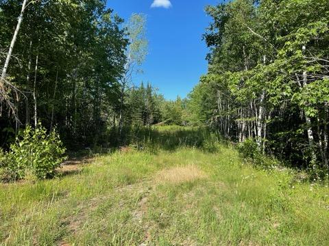 Lot 14-1 Ridge Road Bradford, ME 04410 - Photo 2 of 20 Lot 14-1 on 4.82 Acres