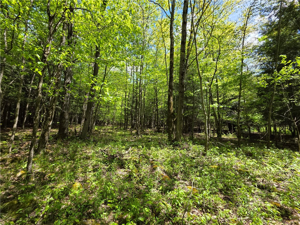3040 Quigg Hollow Road Andover, NY 14806 - Photo 39 of 46