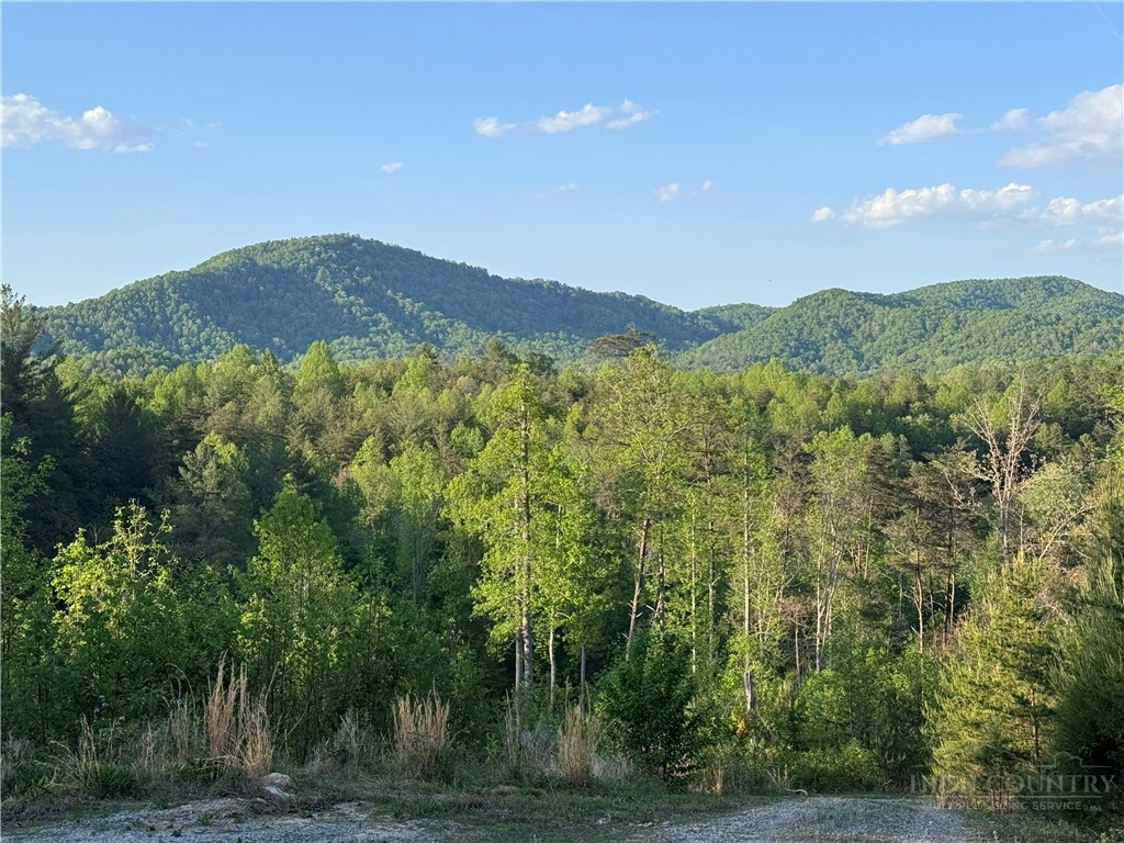 4229 Grandin Road Lenoir, NC 28645 - Photo 39 of 46 Gallery Image 39