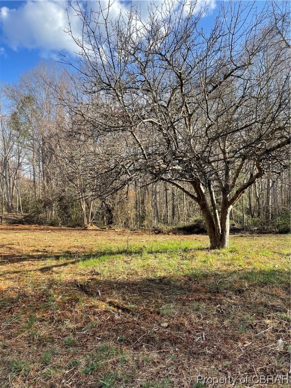 2.07-ac Old Pinetta Road Gloucester, VA 23061 - Photo 8 of 16