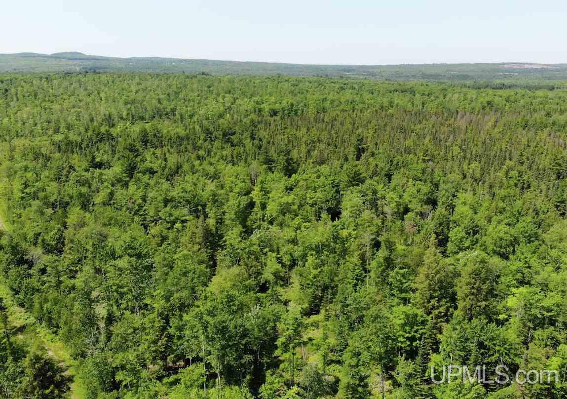Tbd Upper Massie Road Chassell, MI 49916 - Photo 5 of 12 Gallery Image 5