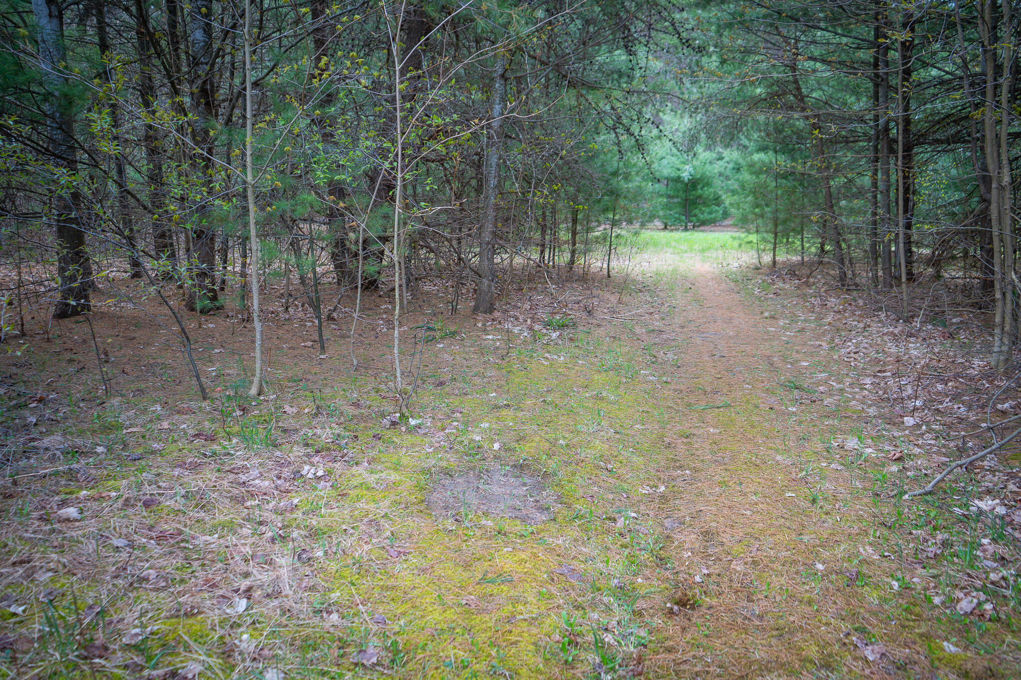 V/l Hudson Road Southwest South Boardman, MI 49680 - Photo 24 of 34 DSC08226