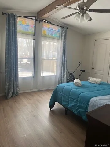 a view of a house with a plant